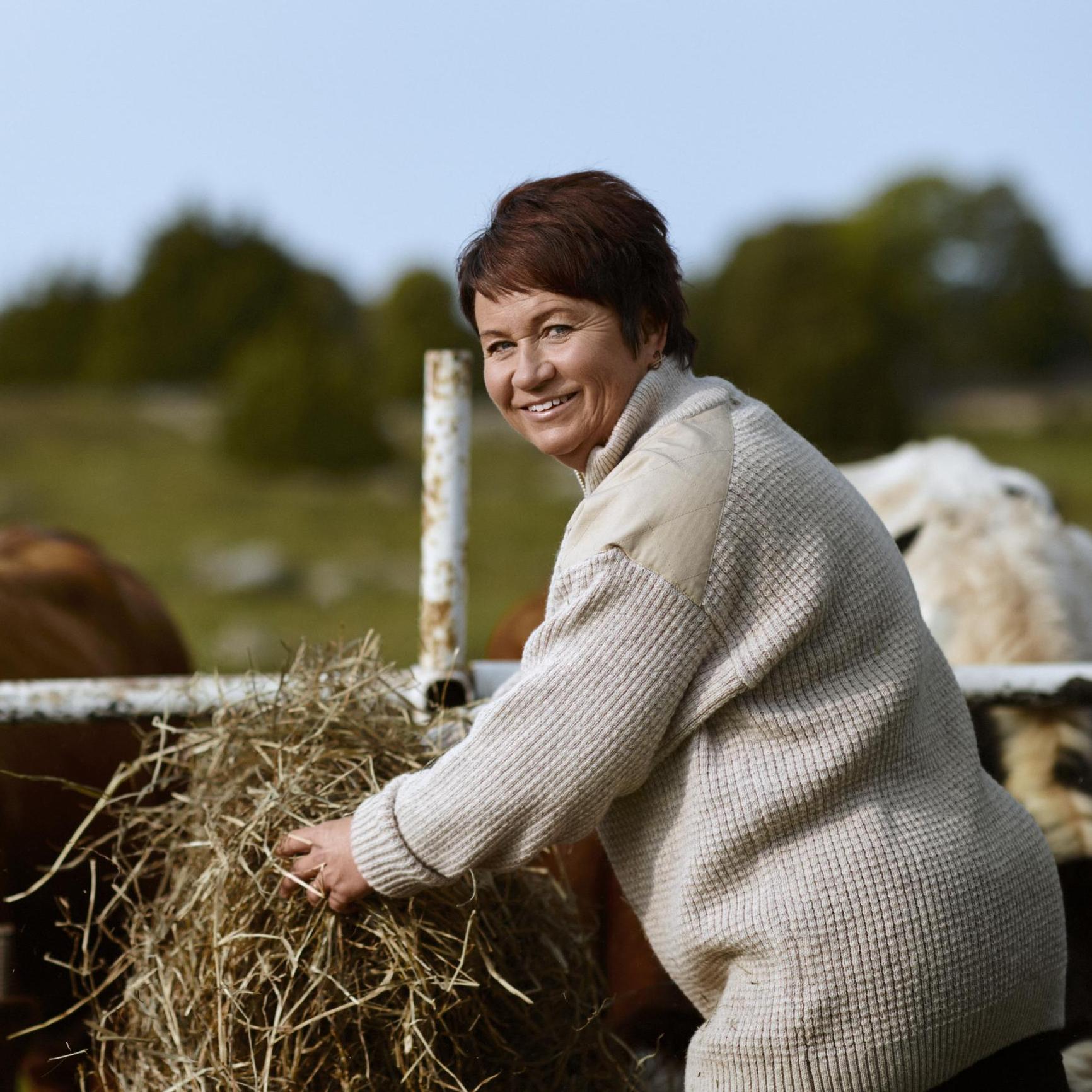 Smiling woman giving hay to cows